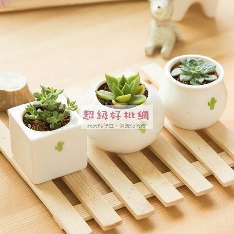 【陶瓷材質】迷你花盆 - 多肉植物盆栽容器