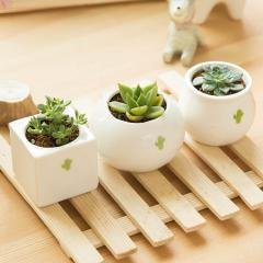 【陶瓷材質】迷你花盆 - 多肉植物盆栽容器
