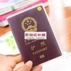 【磨砂透明】護照套 - 防水防刮保護套