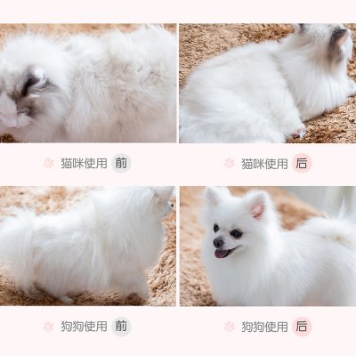 【寵物專用】梳毛器 - 狗狗貓咪按摩梳 商品圖片 5