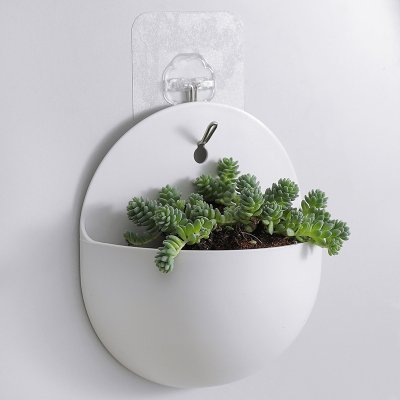 【壁掛花盆】立體綠化裝飾盆-多肉植物專用 商品圖片 3