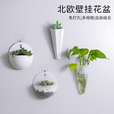 【壁掛花盆】立體綠化裝飾盆-多肉植物專用 商品圖片 2