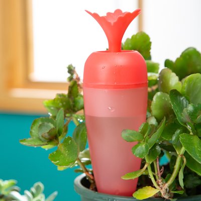 【胡蘿蔔澆花器】自動澆水-懶人盆栽花草澆水器 商品圖片 3