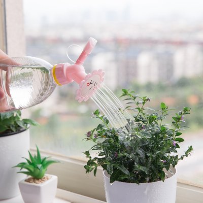 【笑臉澆花器】小花噴頭-創意雙頭灑水器 商品圖片 1