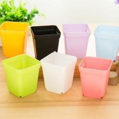 【七彩迷你】桌面花盆 - 附托盤植栽容器 商品圖片 3