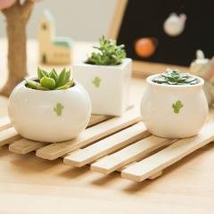 【陶瓷材質】迷你花盆 - 多肉植物盆栽容器 商品圖片 2