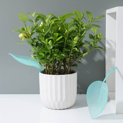 【樹葉造型】澆水器 - 加長導流管澆花漏斗 商品圖片 4