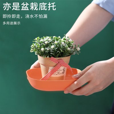 【馬卡龍小盤組】多用途盤-創意可愛水果盛裝盤 商品圖片 2