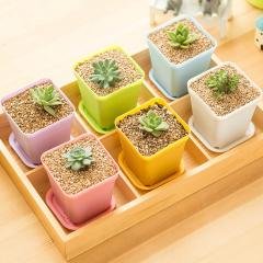 【七彩迷你】桌面花盆 - 附托盤植栽容器