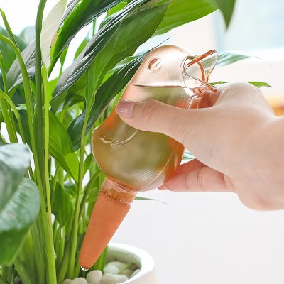 【小鳥造型】自動澆水器 - 懶人澆花滴水器 商品圖片 3