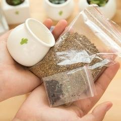 【陶瓷材質】迷你花盆 - 多肉植物盆栽容器 商品圖片 3