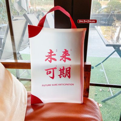 【創意磨砂袋】文字文件袋-學生A4考試卷手提包 商品圖片 8