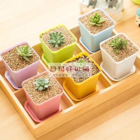 【七彩迷你】桌面花盆 - 附托盤植栽容器